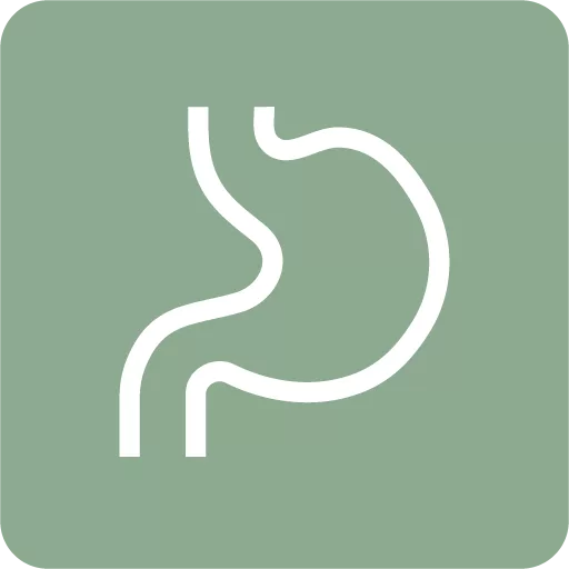 gut health